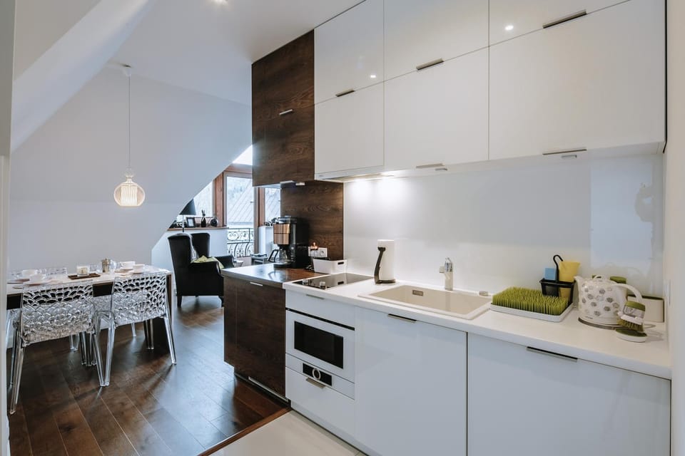 Kitchen or kitchenette, dishwasher, minibar, stove