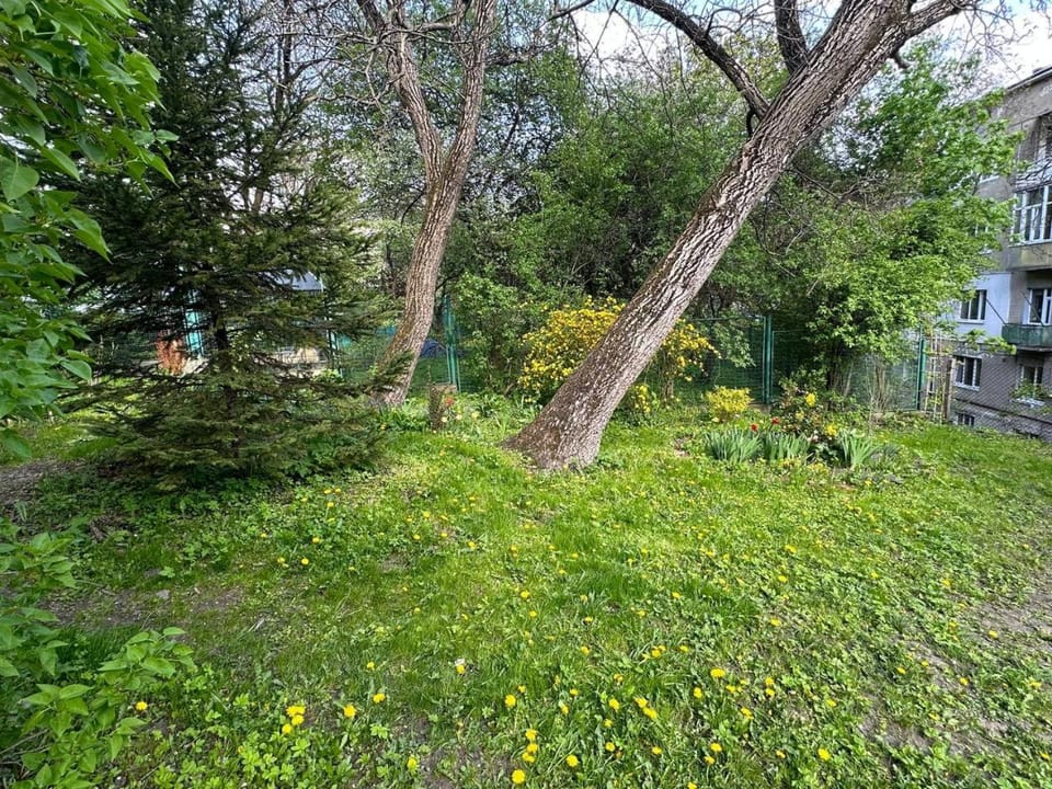 Котляревського апартамент з садом Apartment in Lviv