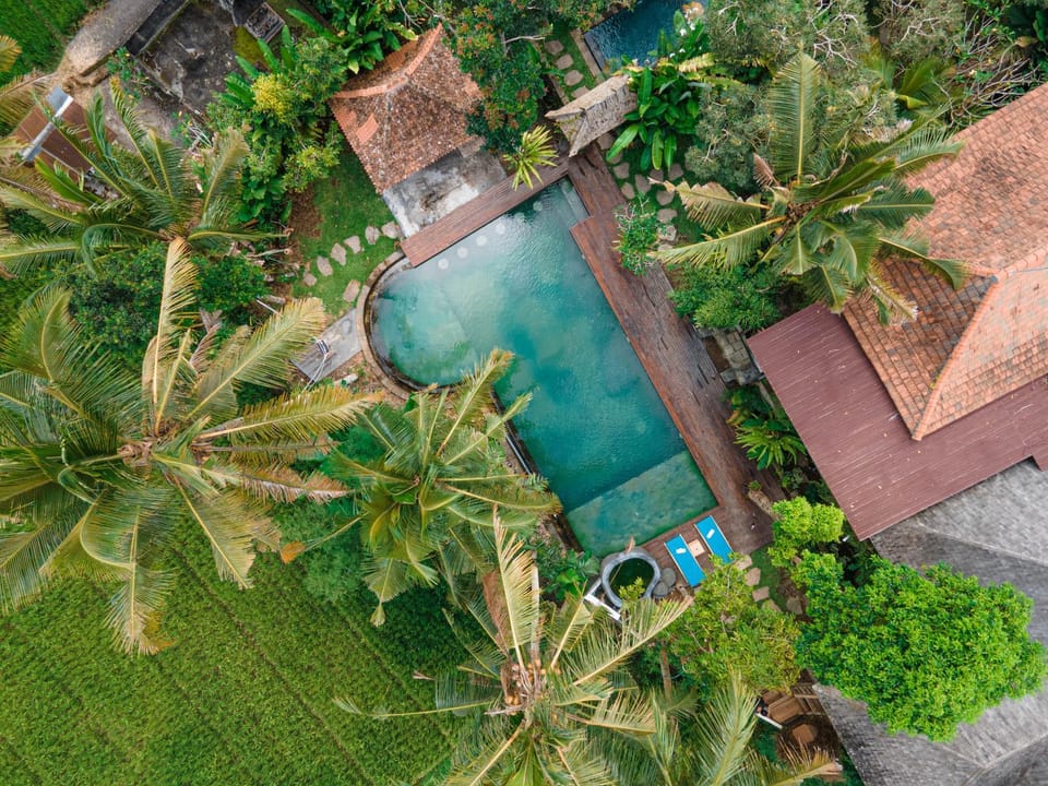 Spring, Day, Natural landscape, Bird's eye view, Garden, Garden view, Pool view, Swimming pool, sunbed