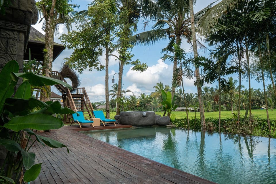 Spring, Day, Natural landscape, Garden, Garden view, Pool view, Swimming pool, sunbed