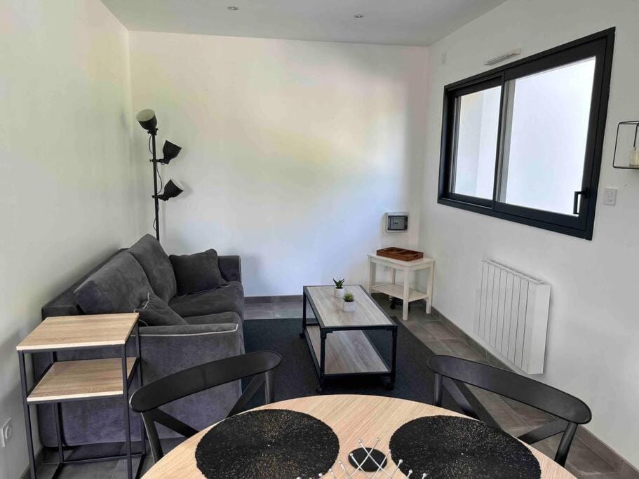 Appartement Le Mans proche du circuit des 24h Apartment in Centre-Val de Loire
