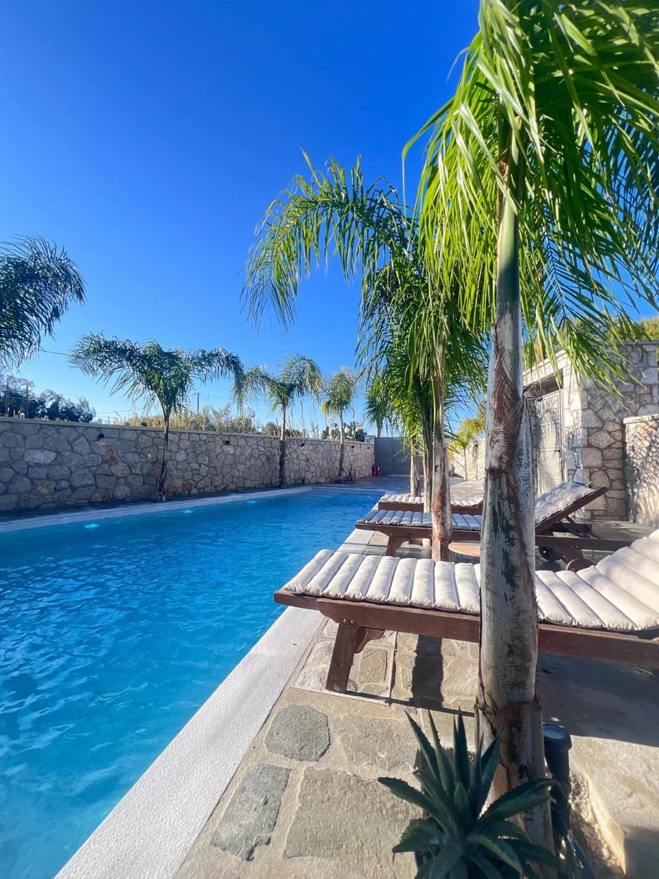 Patio, Day, Pool view, Swimming pool, sunbed