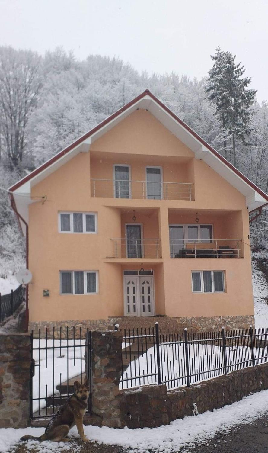 Casă de vacanță Lidia House in Cluj County