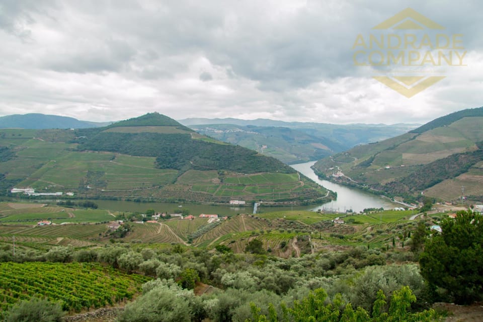 Solar da Calçada Bed and Breakfast in Vila Real District