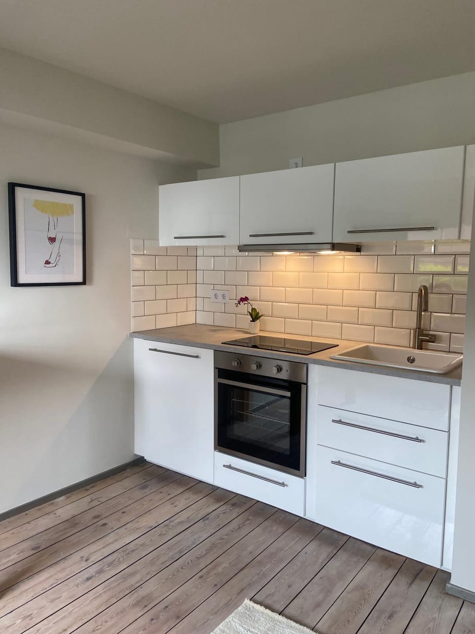 Kitchen or kitchenette, pet friendly, stove, kitchen