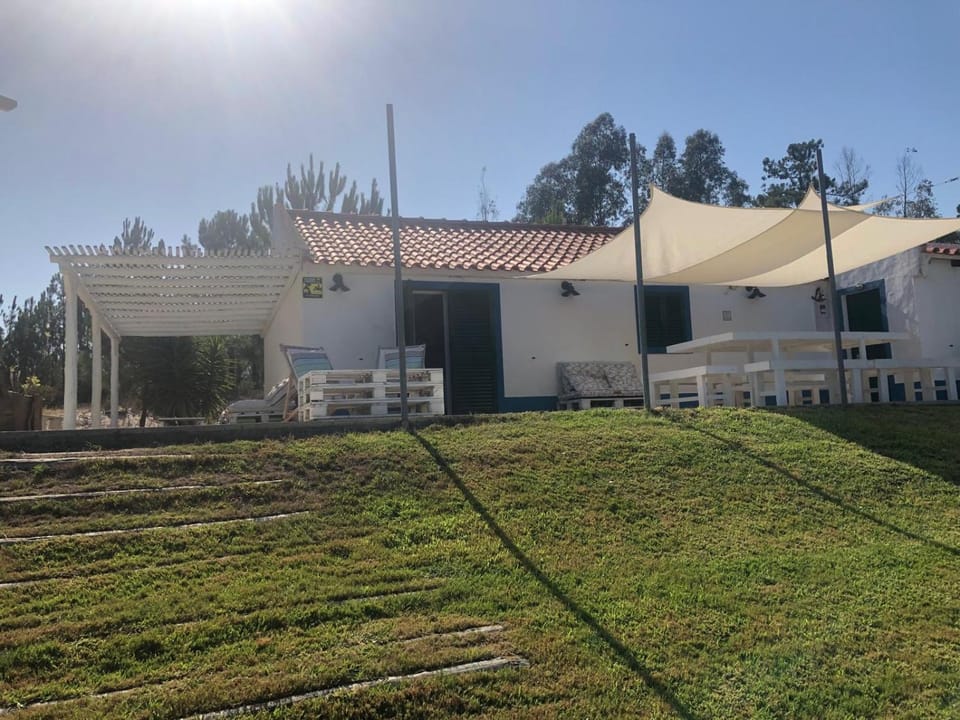 Property building, Day, Garden