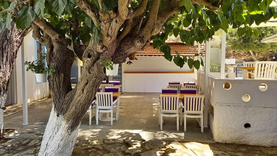 Garden, Dining area