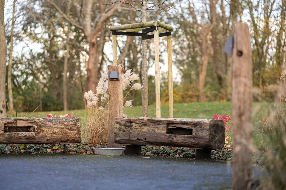 Garden, Seating area
