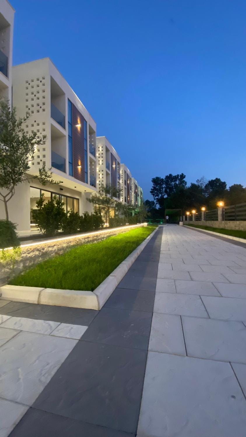 Night, Garden, Garden, Garden view