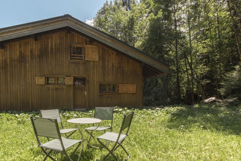 Patio, Garden, Garden view