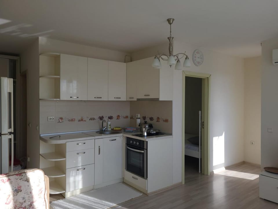 Kitchen or kitchenette, oven, pet friendly, stove