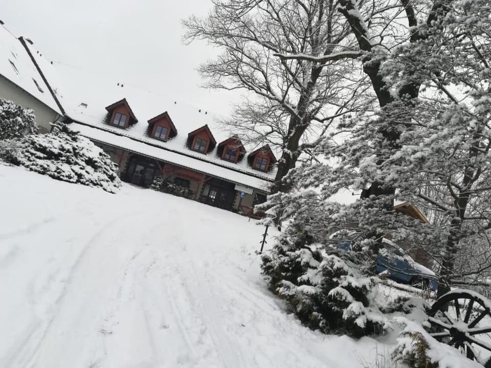 Property building, Natural landscape, Winter