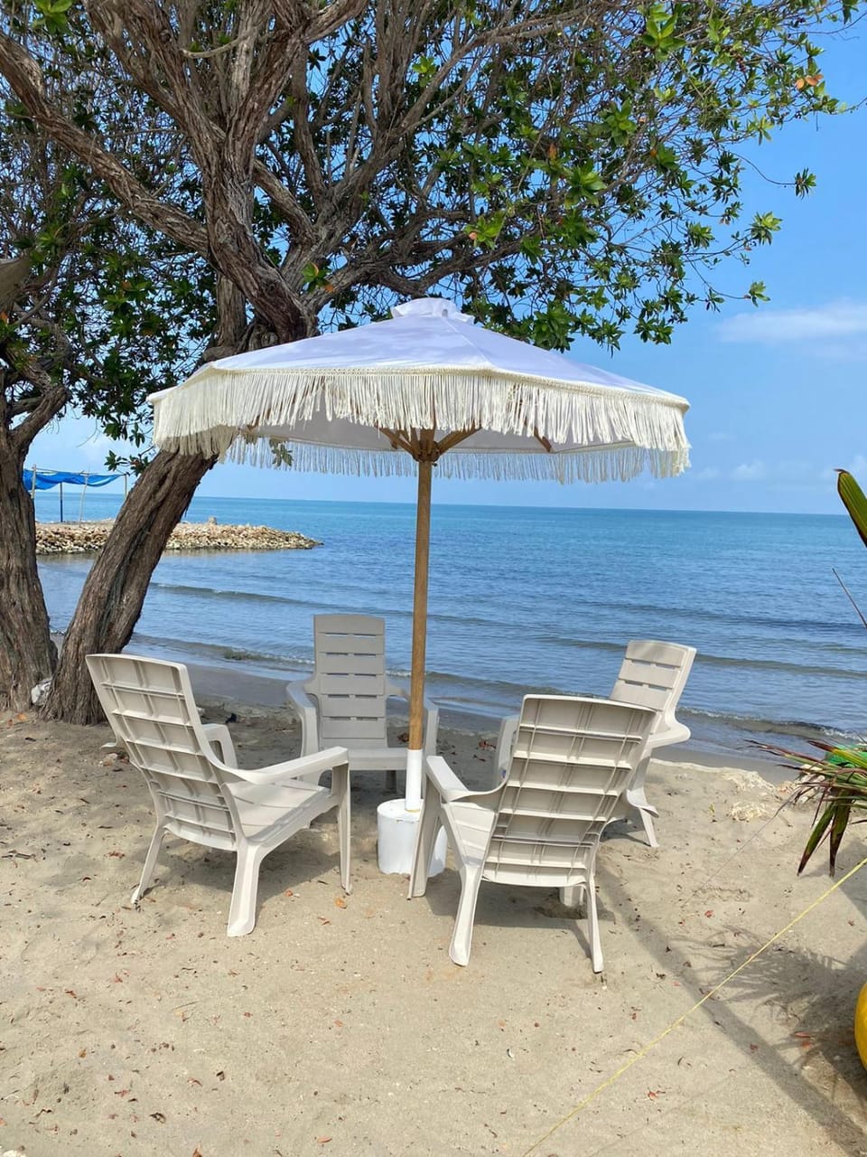 Natural landscape, Beach, Sea view, sunbed
