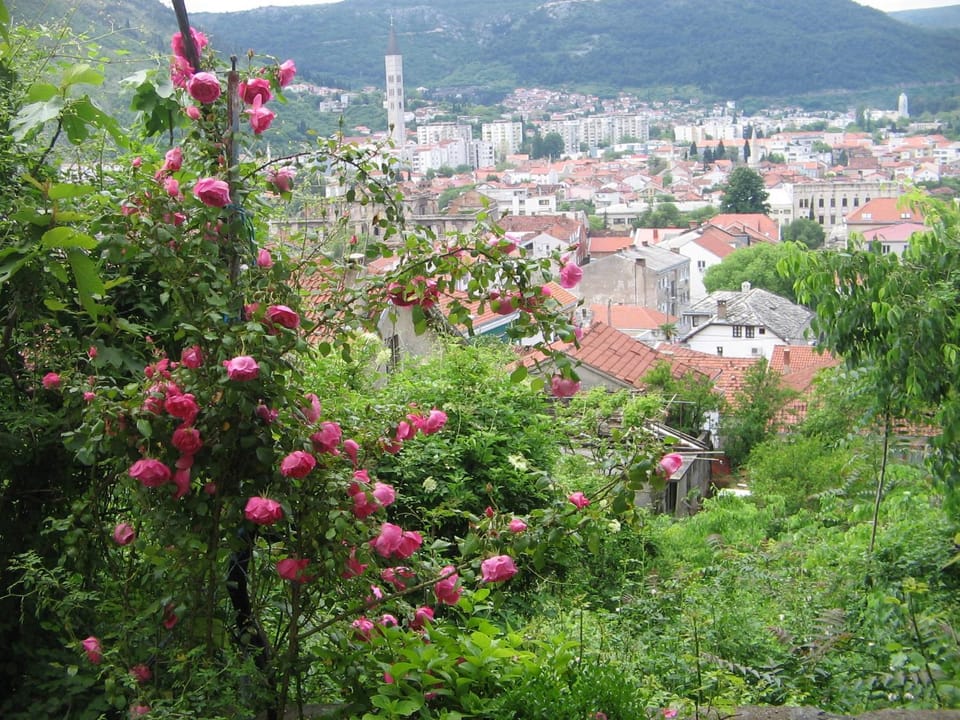 Garden, View (from property/room), Balcony/Terrace