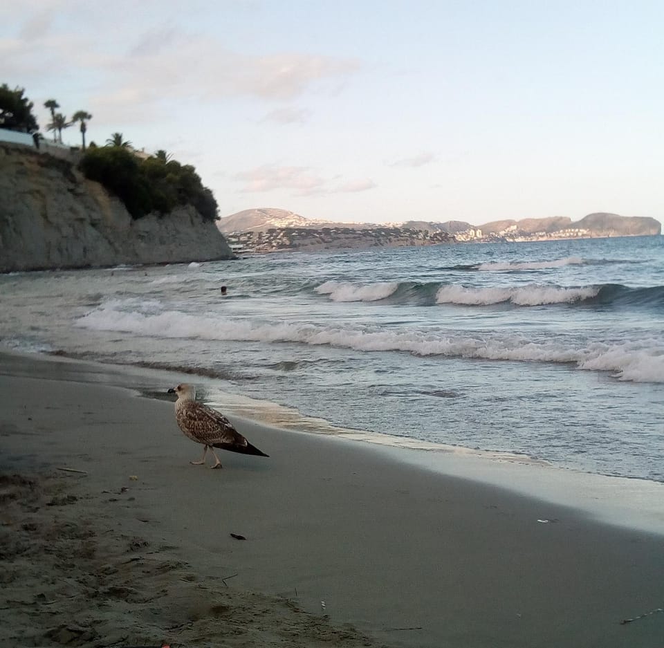 Beach