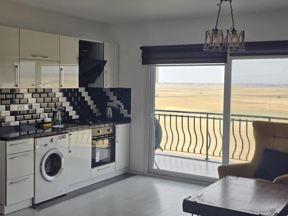 Kitchen or kitchenette, Living room, Seating area, Dining area, dishwasher, minibar, oven, pet friendly, stove, washing machine, dryer
