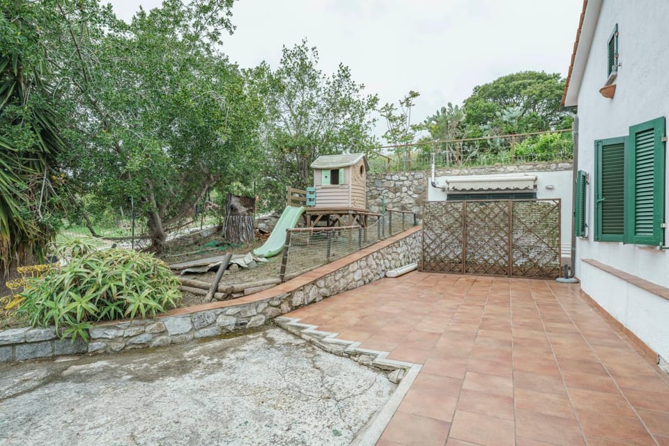 Patio, Day, Garden, Garden view