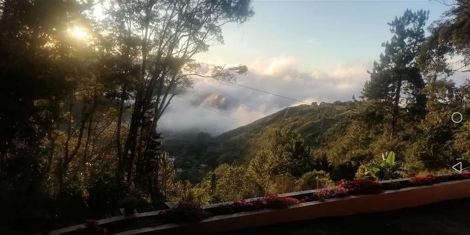 View (from property/room)