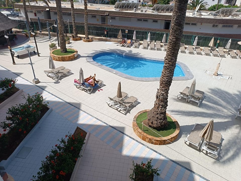 Pool view, Swimming pool