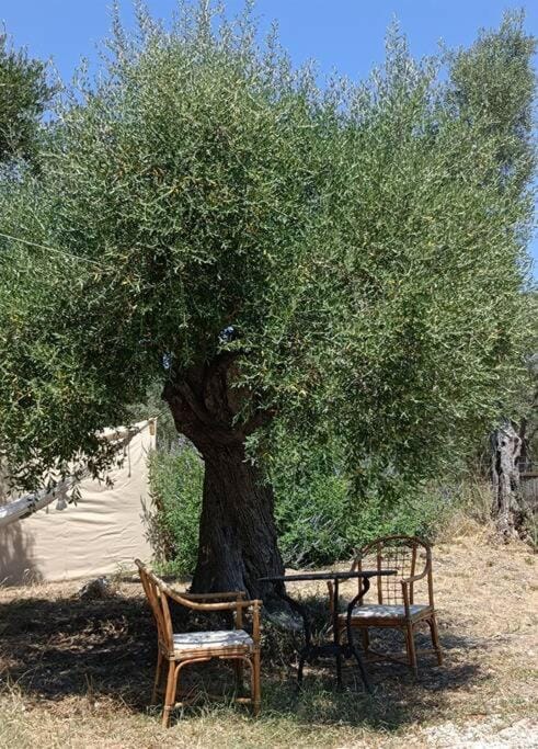 Meltheane Luxury tent in Peloponnese, Western Greece and the Ionian