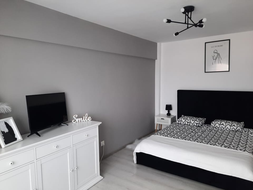 Studio ANA Apartment in Brașov County