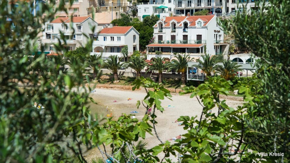 Beach, Area and facilities