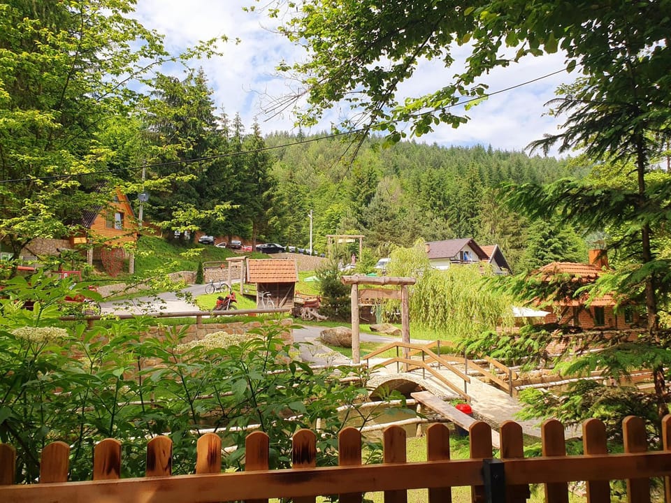 View (from property/room)