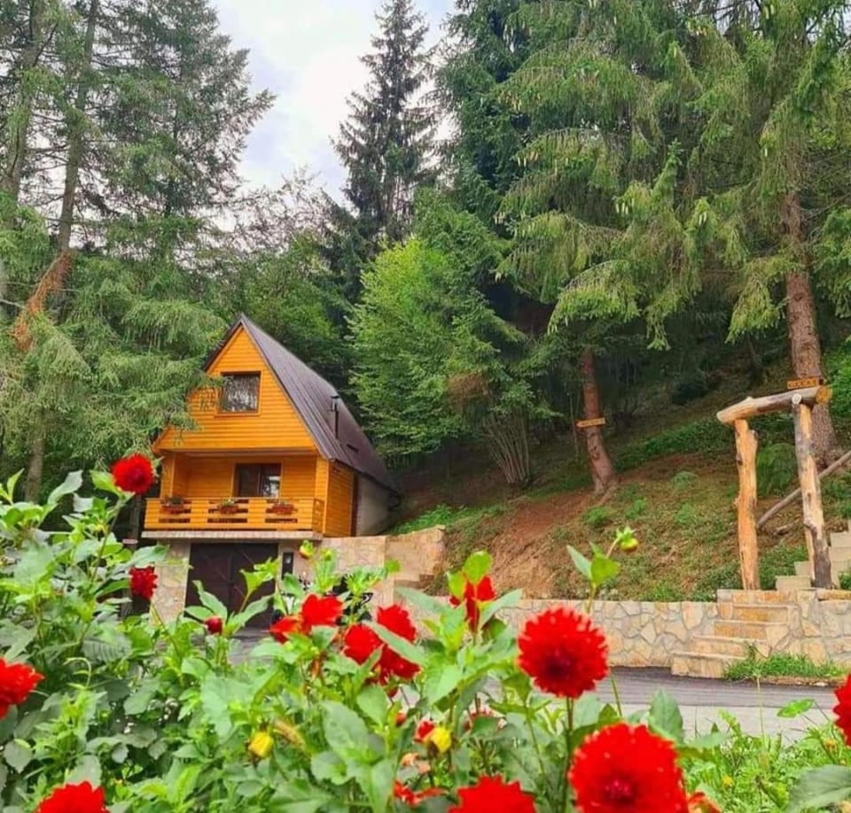 Etno selo BISTROVO Apartment in Federation of Bosnia and Herzegovina