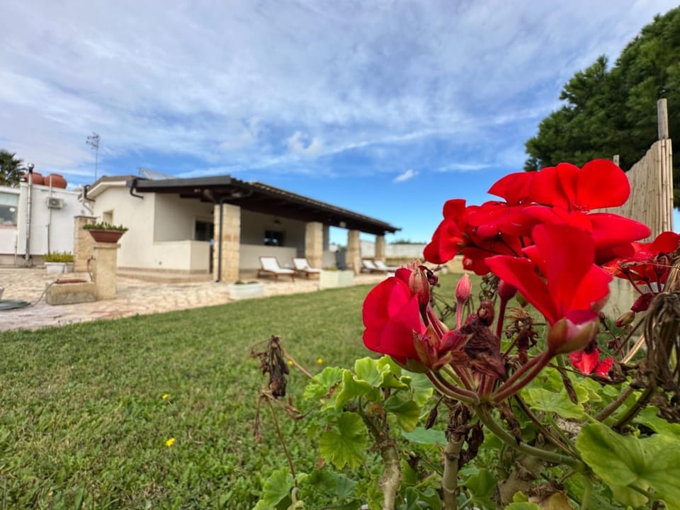 l'aira ecchia - ospitalità rurale Farm Stay in Apulia