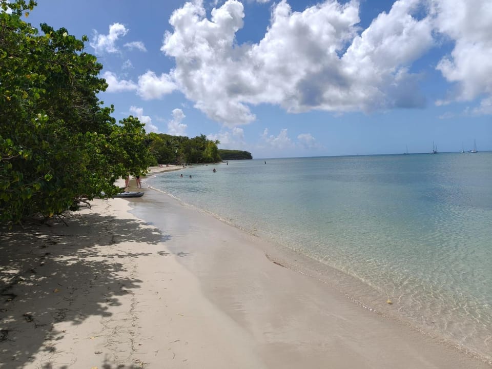 Beach, Beach