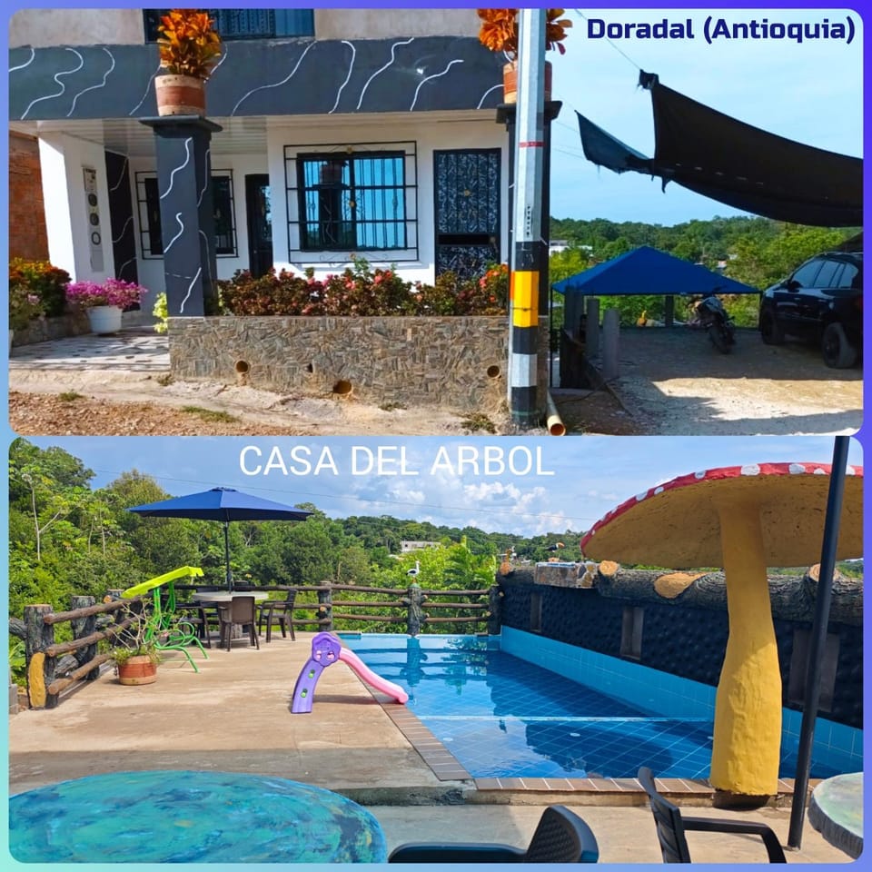 Day, Pool view, Swimming pool
