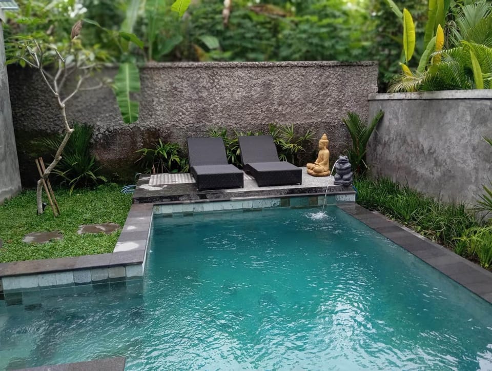 Patio, Day, Natural landscape, Garden, Garden view, Pool view, Swimming pool, sunbed