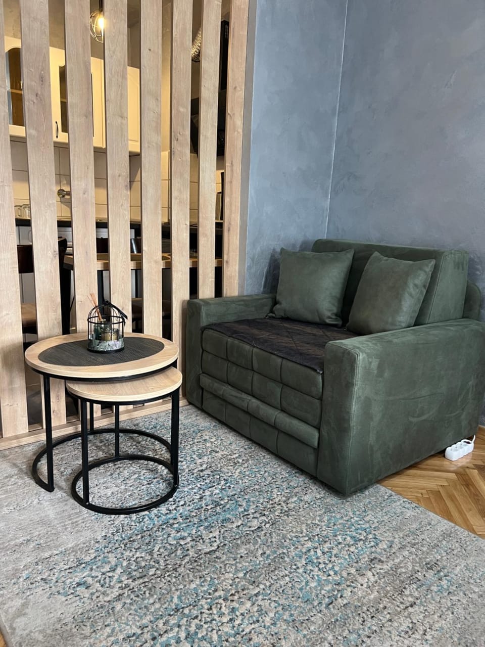Apartman Didi2- free private parking-garage Apartment in Novi Sad