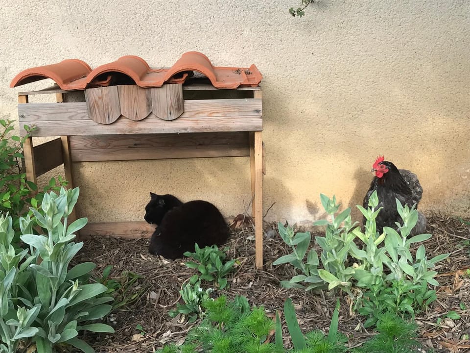 Nuitée Naturopathique Bed and Breakfast in La Rochelle