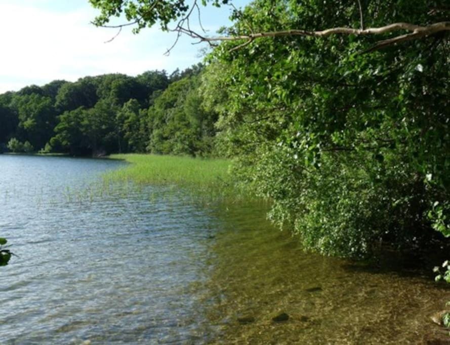 Sommerwohnsitz des Baron von Nolcken Apartment in Plau am See