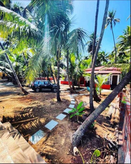 Natural landscape, Garden, Garden view, Parking