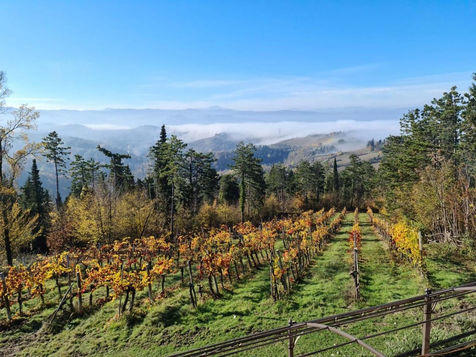 Natural landscape
