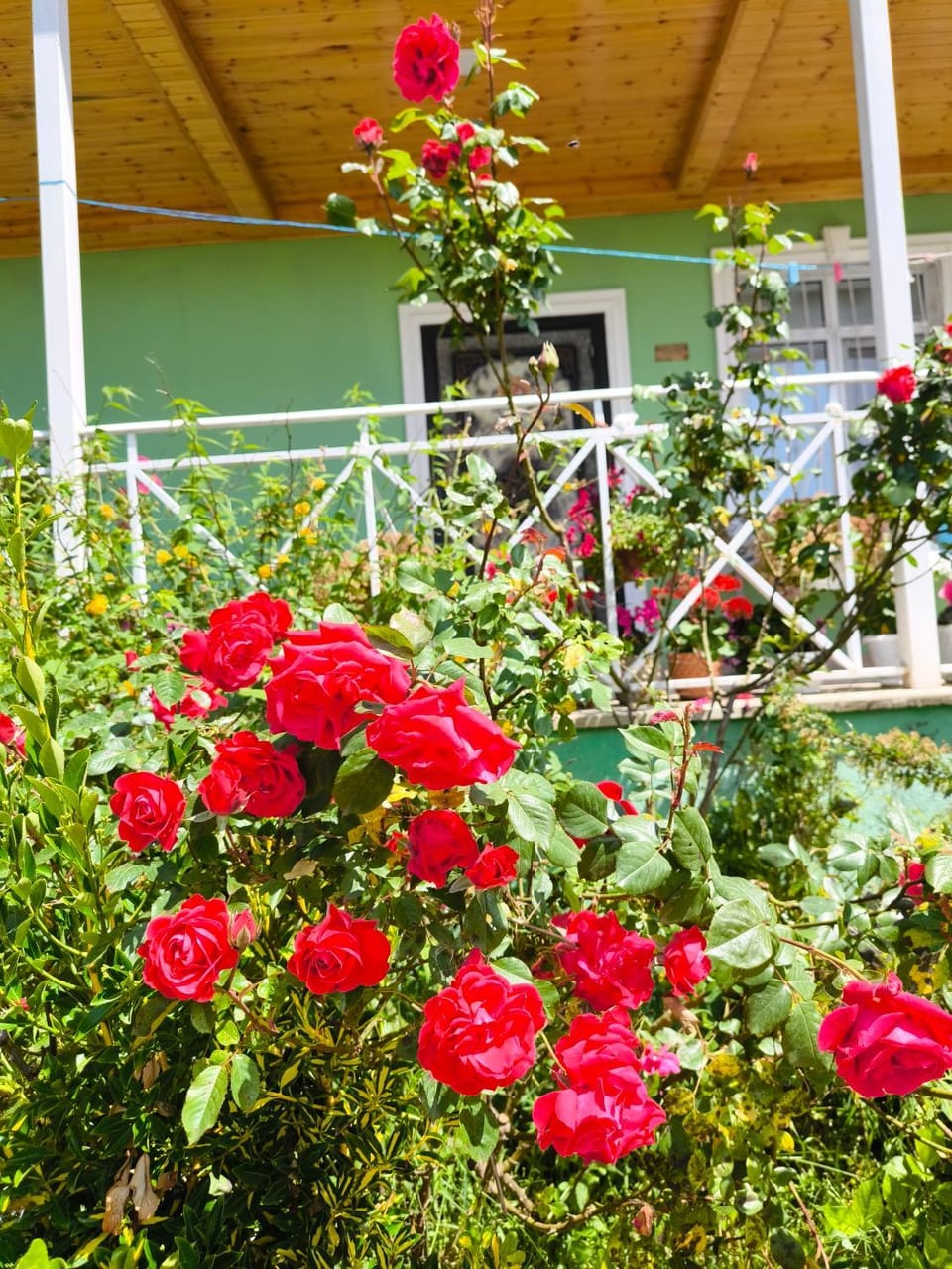 VILLA MEYSARY House in Azerbaijan