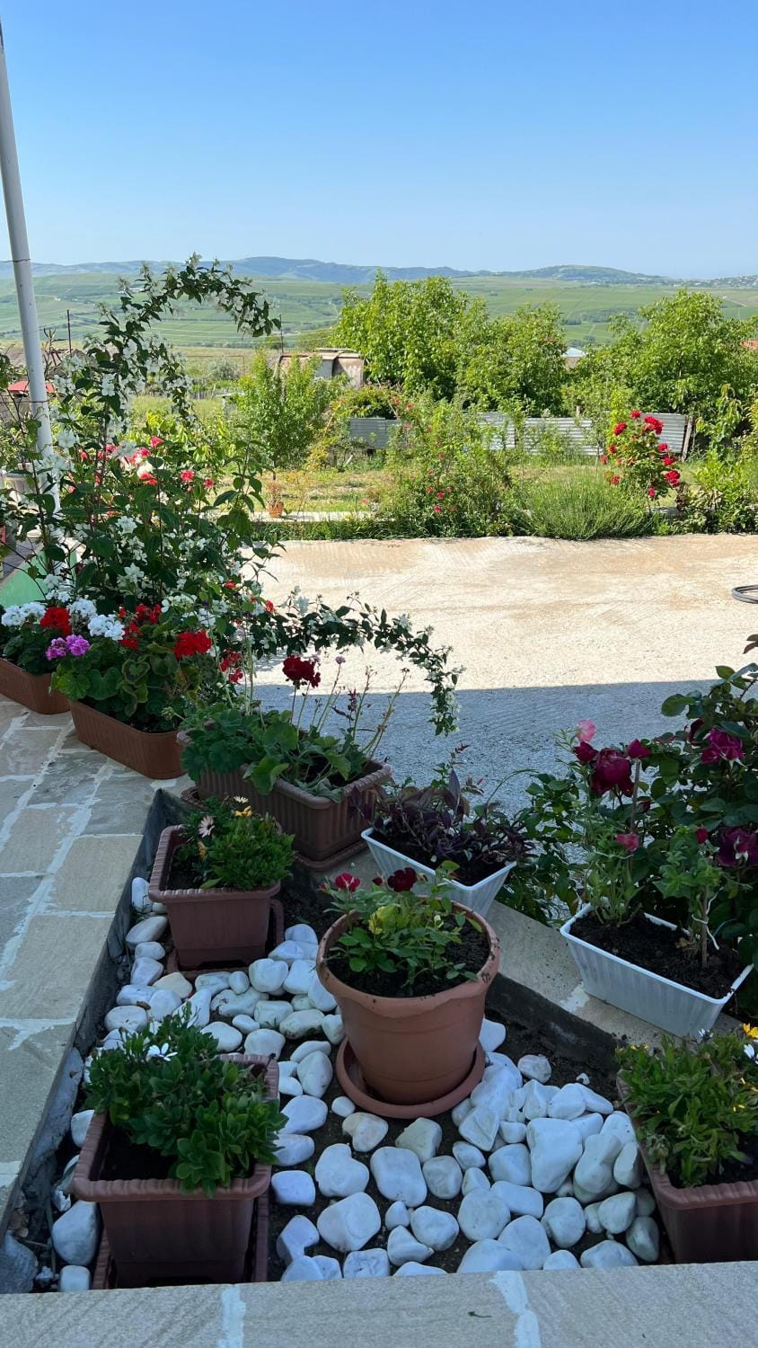 Garden view