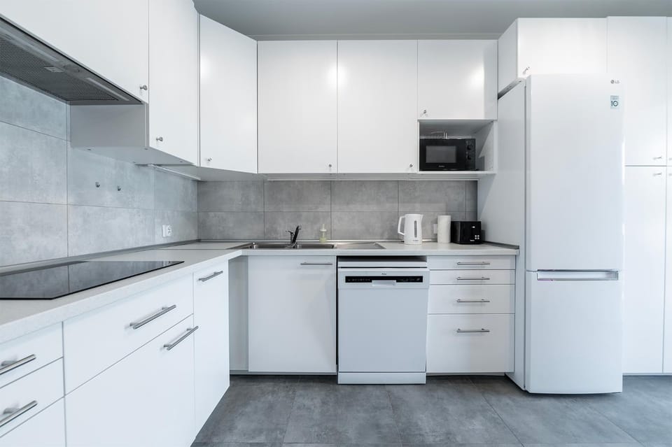 dishwasher, minibar, stove, kitchen