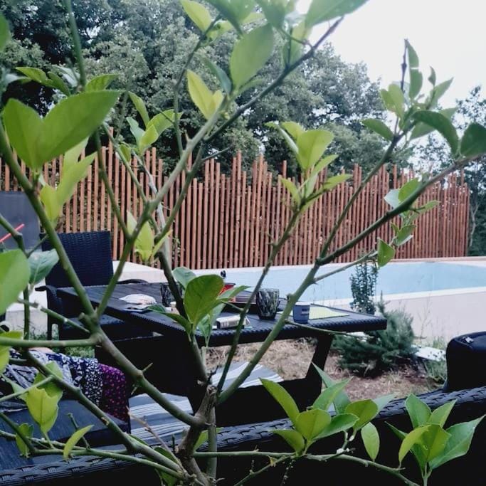 Patio, Dining area