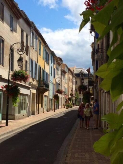 Riverside 4 bed house full of character and charm House in Occitanie