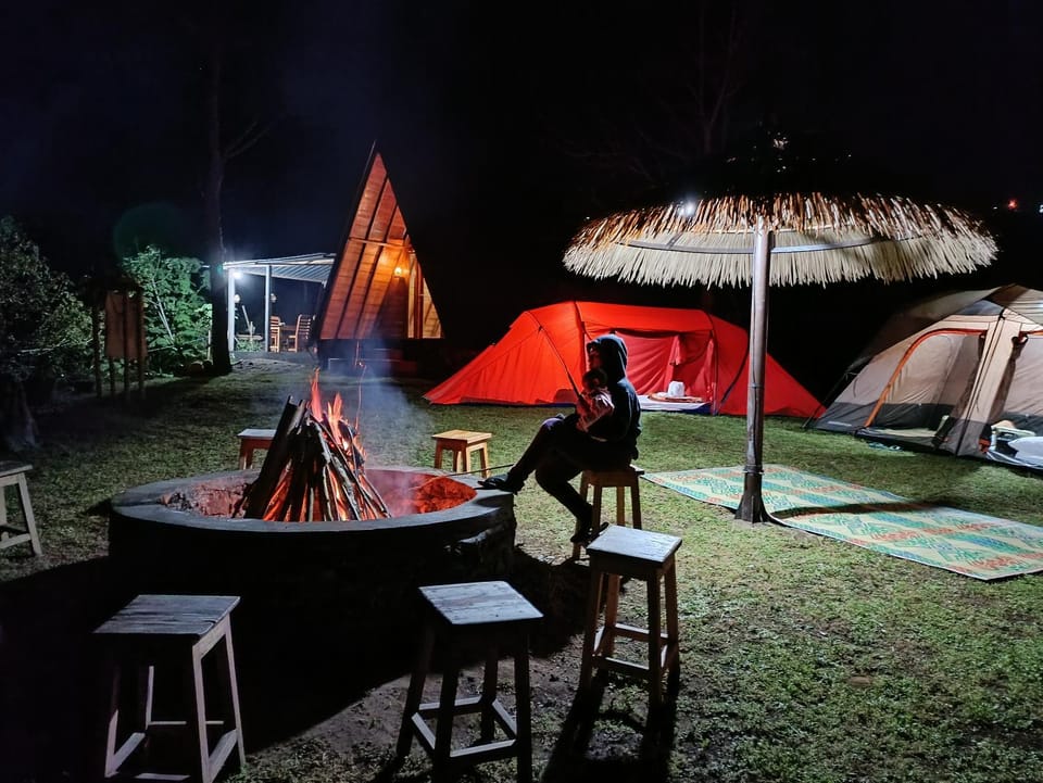 Night, People, BBQ facilities, group of guests