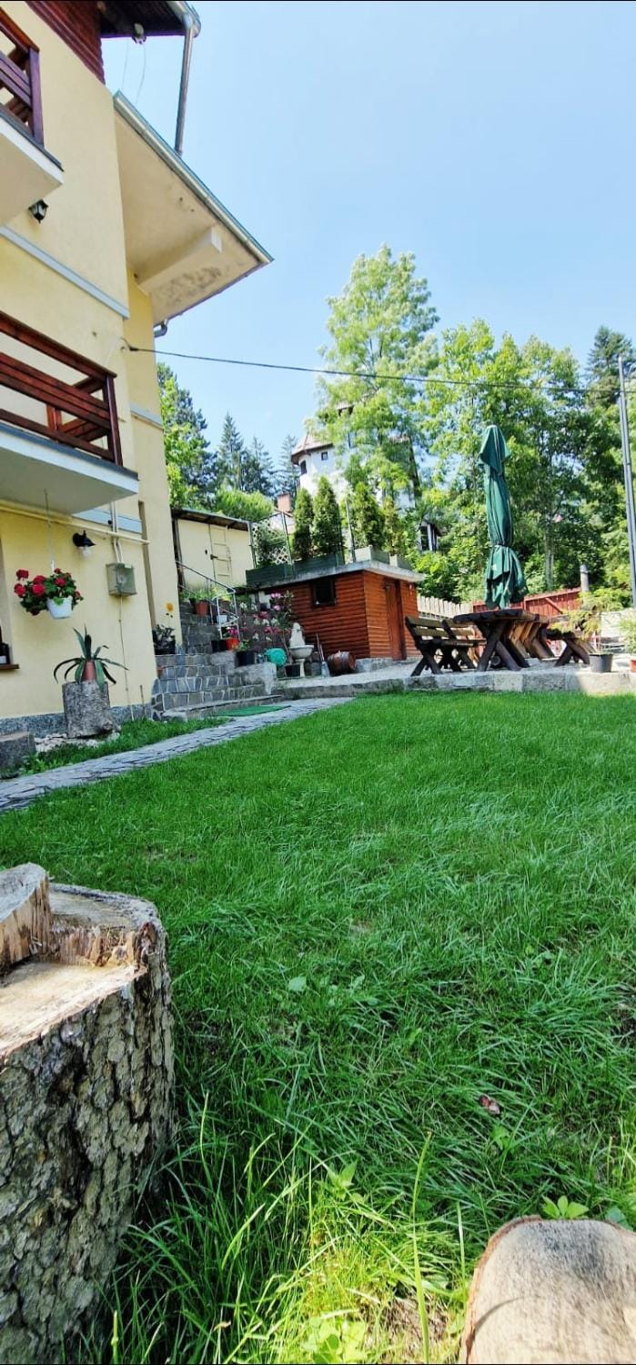 Property building, Spring, Day, Natural landscape, Garden, Garden view
