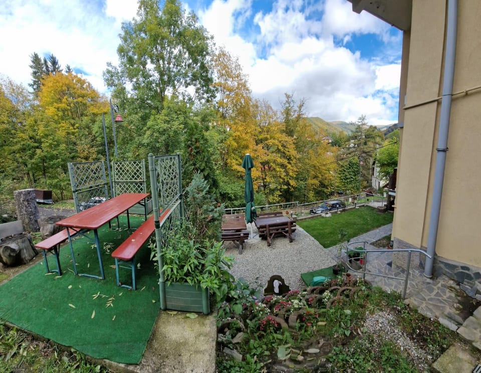 Day, Natural landscape, Garden, Garden view