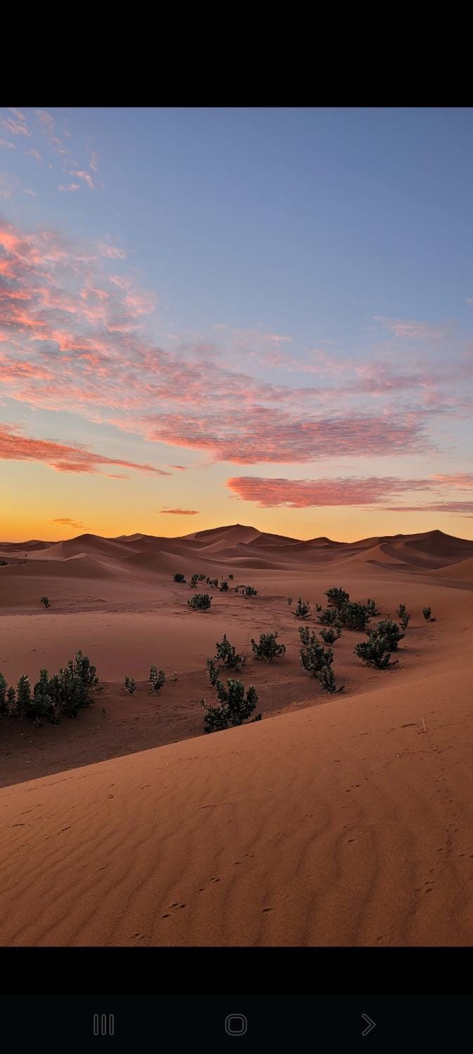 Desert Erg Chegaga Camp Campground/ 
RV Resort in Morocco