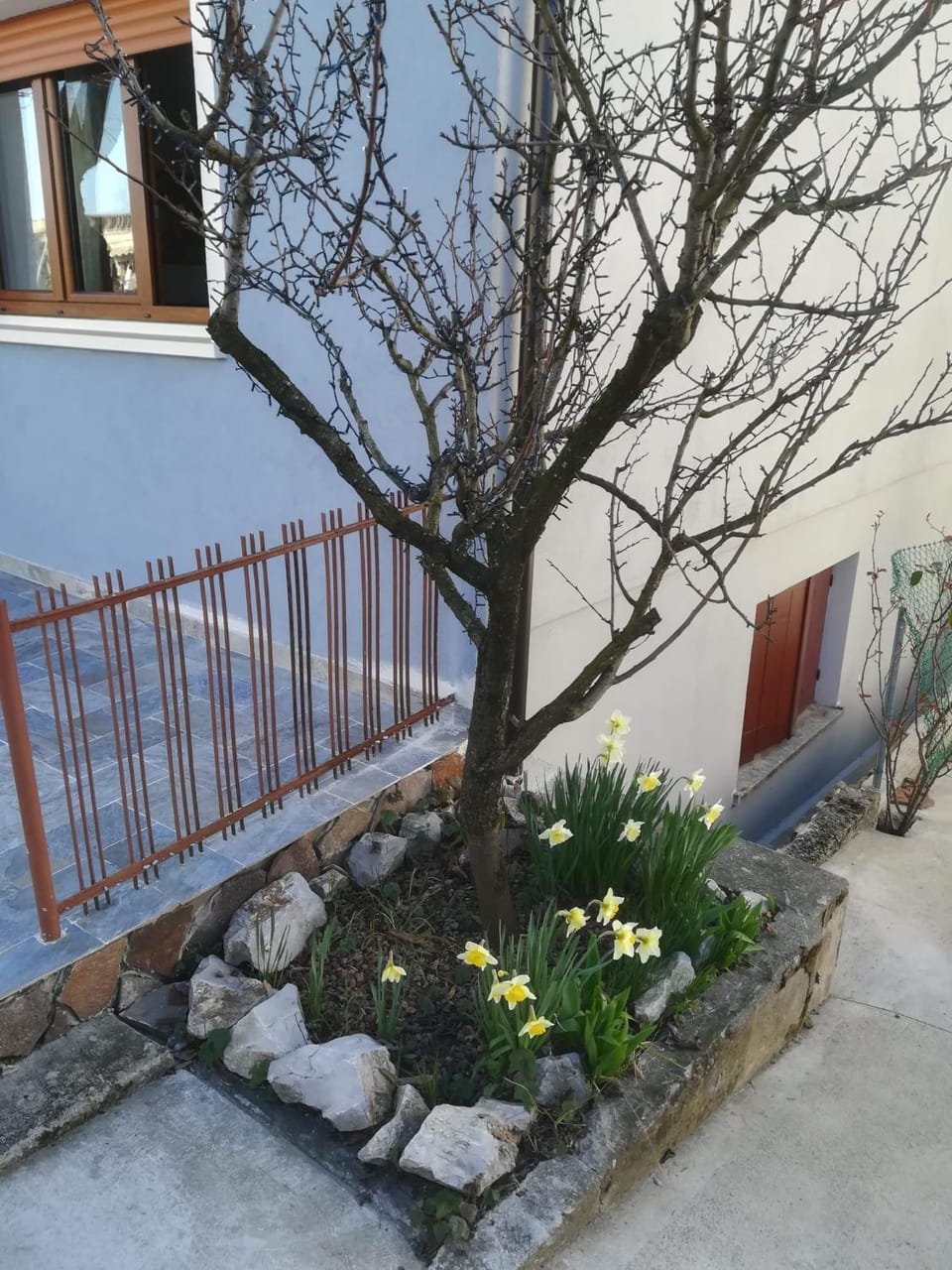 Affittacamere Stazione 24 Bed and Breakfast in Friuli-Venezia Giulia