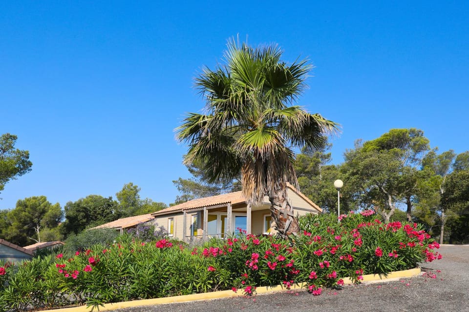 Camping Le Camp Du Domaine Campground/ 
RV Resort in Bormes-les-Mimosas