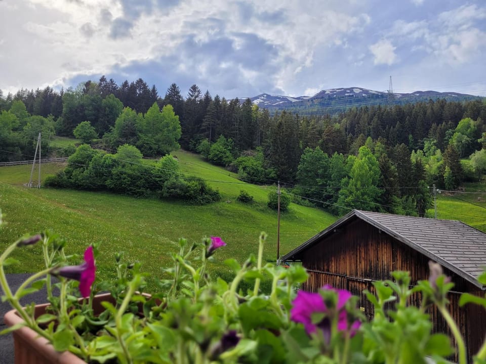 View (from property/room)