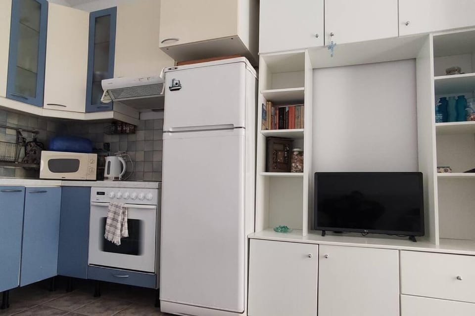 TV and multimedia, Kitchen or kitchenette, minibar, pet friendly, stove